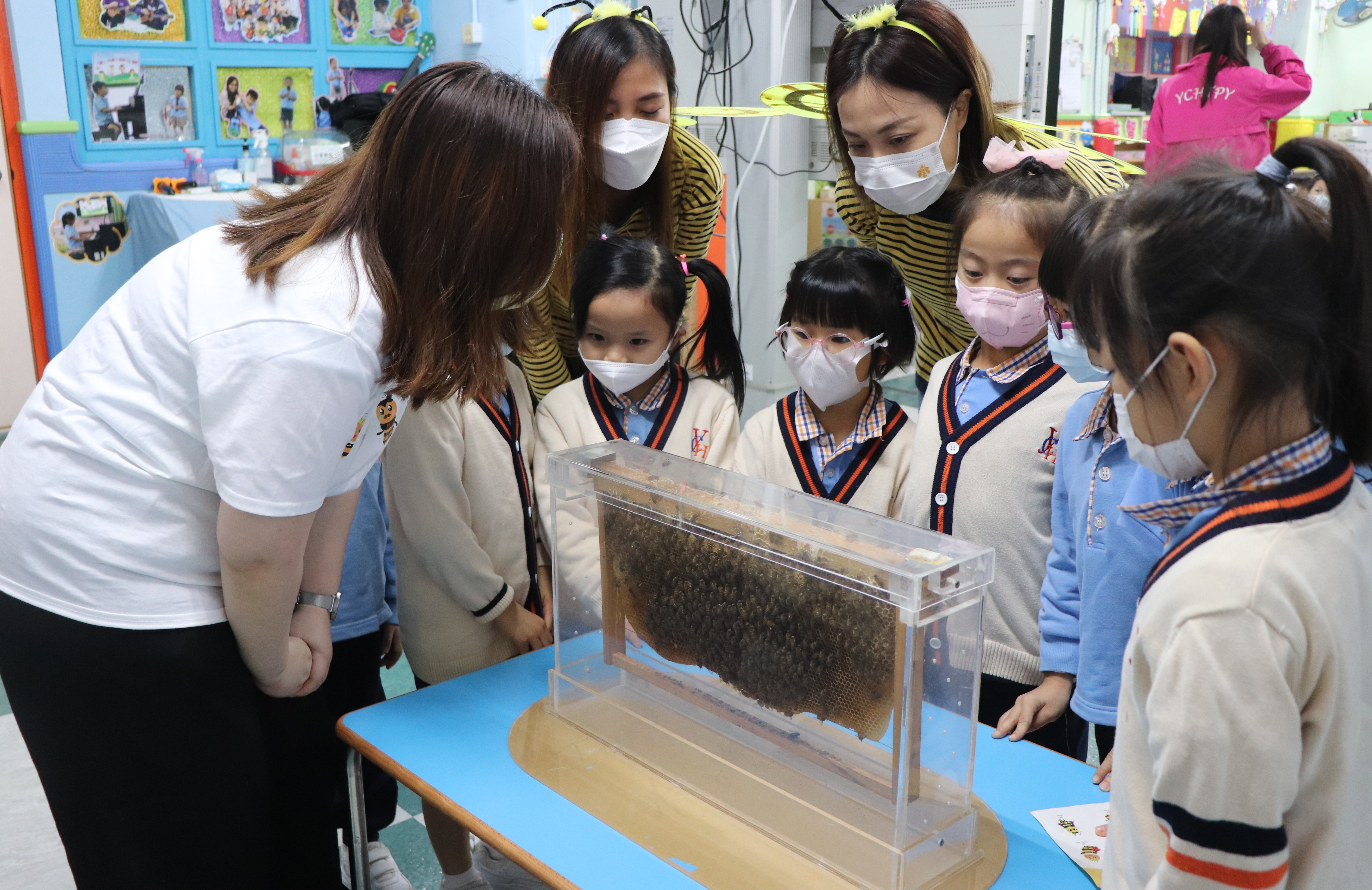 2021-22 Hong Kong Bee Kid Workshop -2